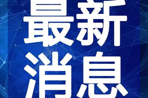 情感语录爆料视频大全最新,最新爆料视频中的感人瞬间
