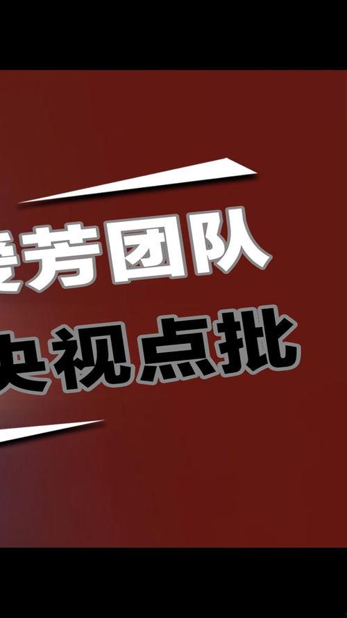 江南团队爆料视频大全,视频大全揭秘幕后故事  第3张