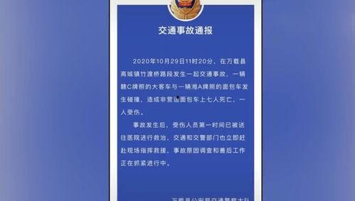深圳婚庆爆料事件最新进展,最新调查进展及各方回应揭晓  第3张